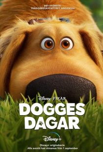 دانلود سریال Dug Days