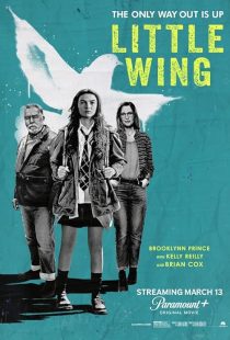 دانلود فیلم Little Wing 2024